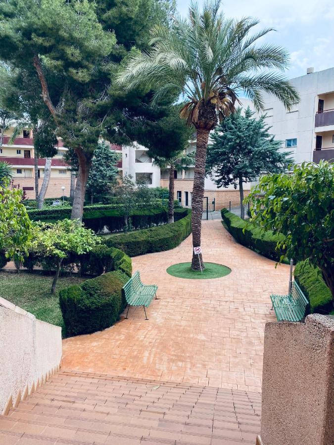 Apartamento Mil Palmeras Pilar de la Horadada Eksteriør billede